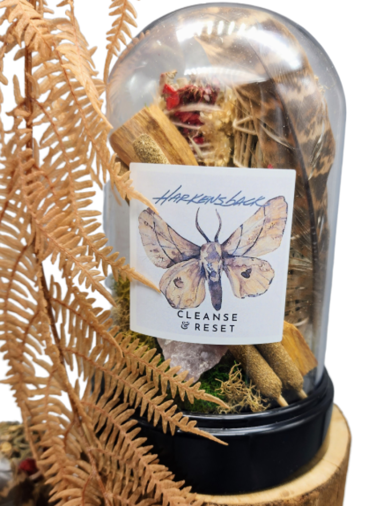 Bell Jar Bundle