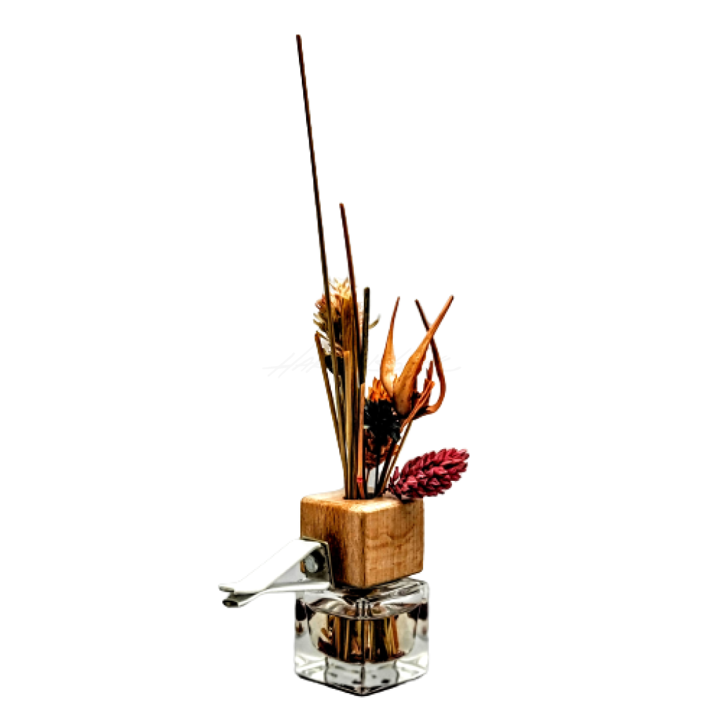 Car Reed Essential Oil Diffuser Apothecary Home Fragrance