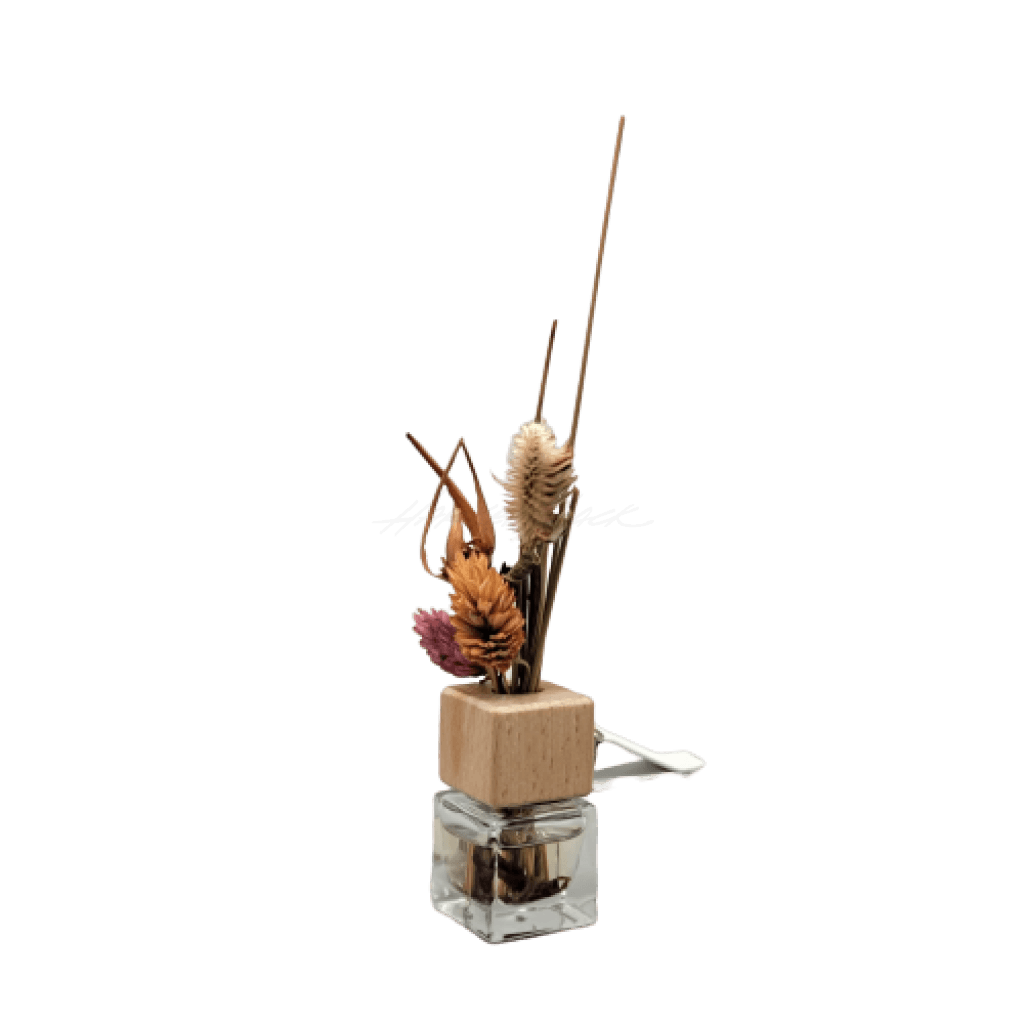 Car Reed Essential Oil Diffuser Apothecary Home Fragrance
