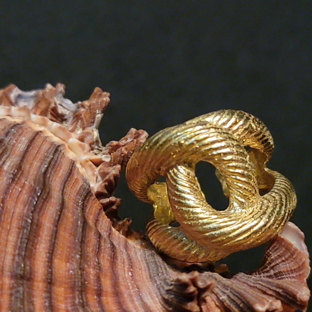 Interlocked Double Rope Brass Ring Jewelry