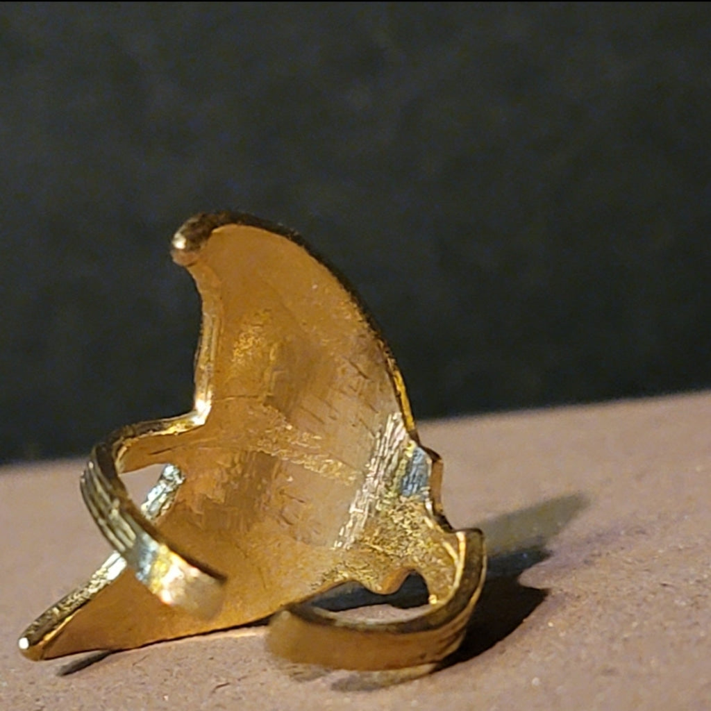 Neptune Wrapped Brass Ring Jewelry