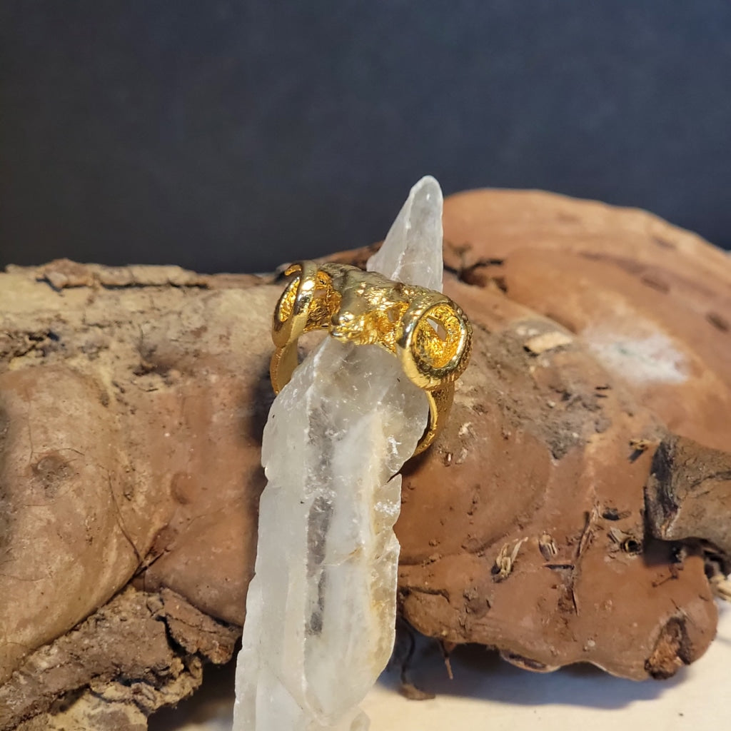 Rams Head Brass Ring Jewelry