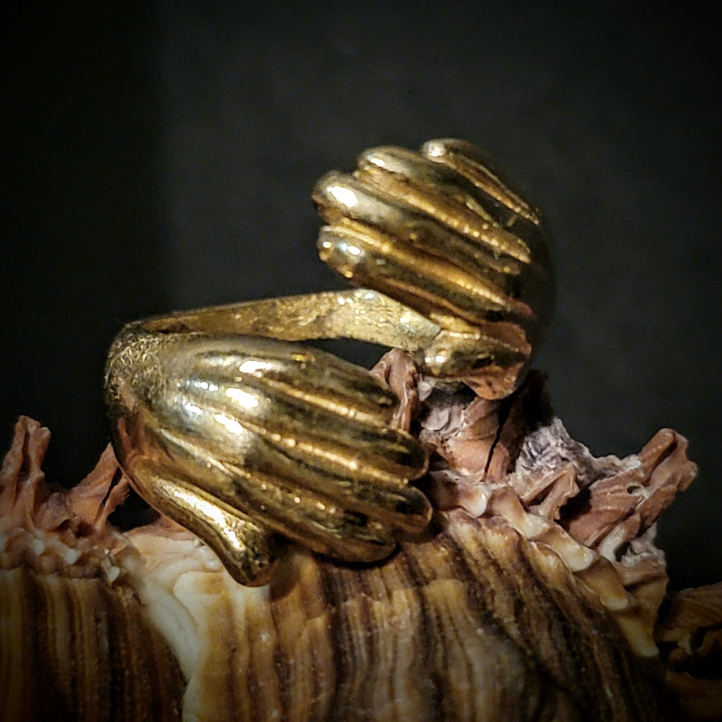 Two Hands Embrace Brass Ring Jewelry