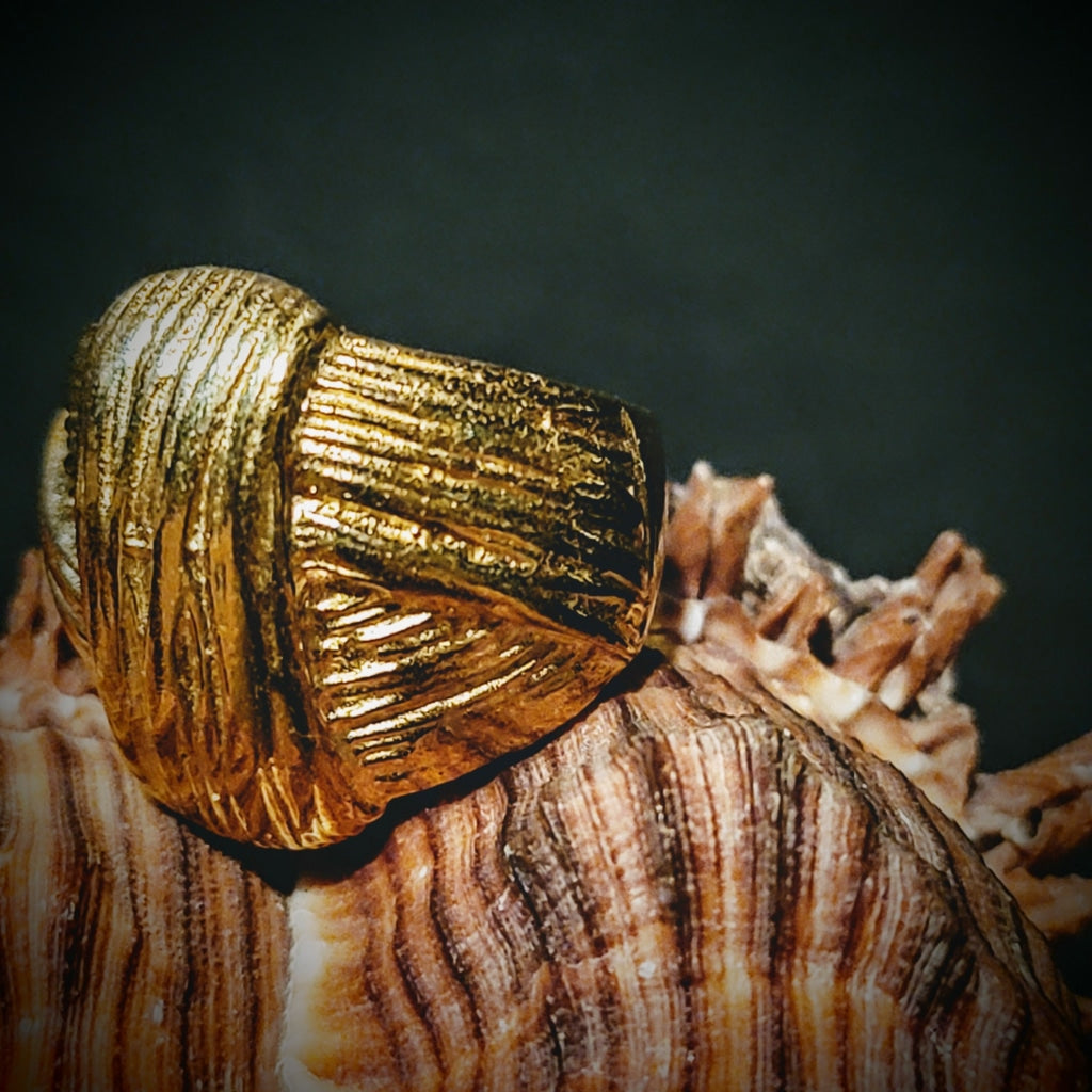 Woven Center Knot Brass Ring Jewelry