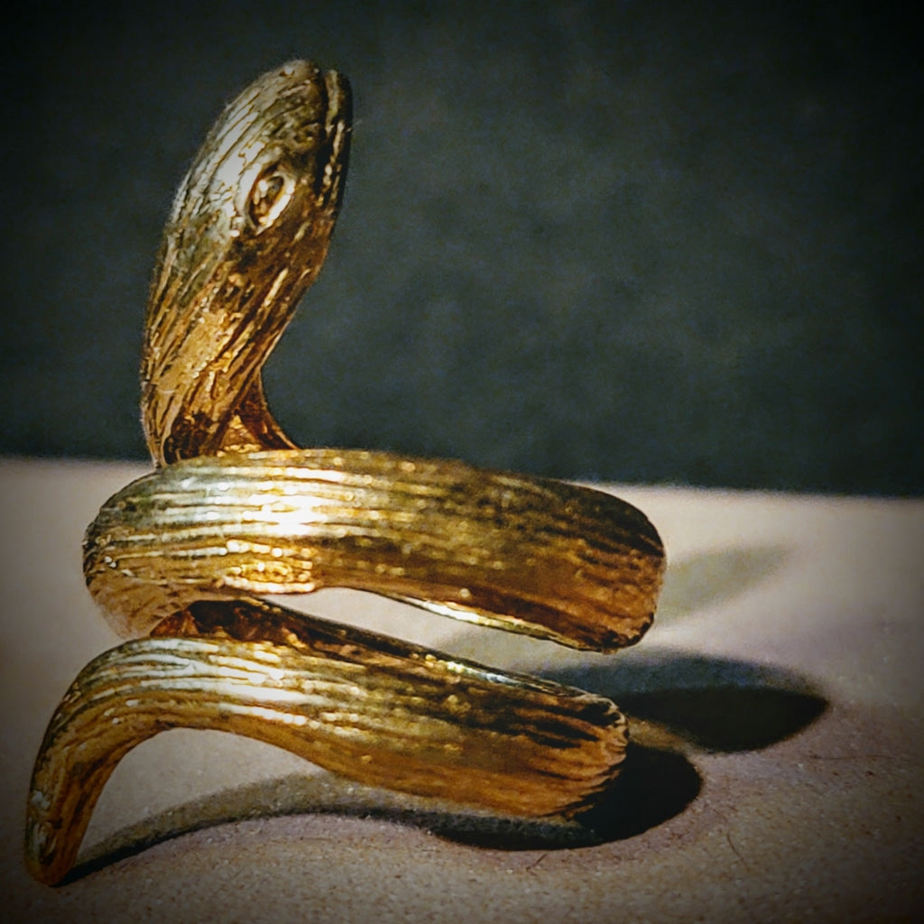 Double Wrap Around Snake Ring Jewelry