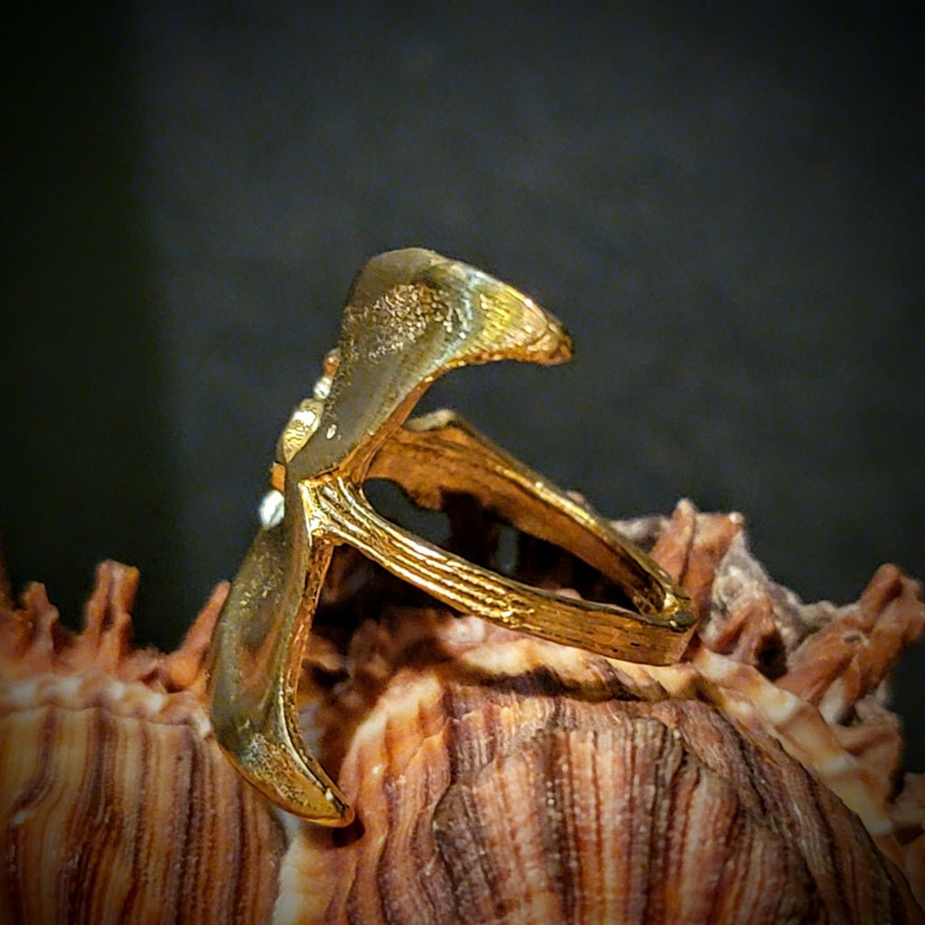 Neptune Wrapped Brass Ring Jewelry