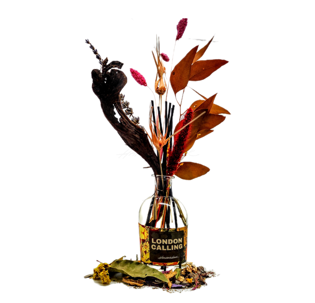 Reed Diffuser W/ Dried Flowers Botanicals Natural Wood + Fiber Reeds Apothecary Home Fragrance