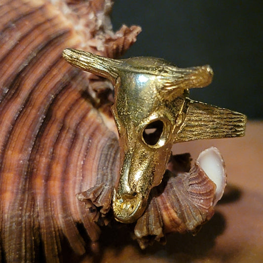 Short Horn Skull Brass Ring Jewelry
