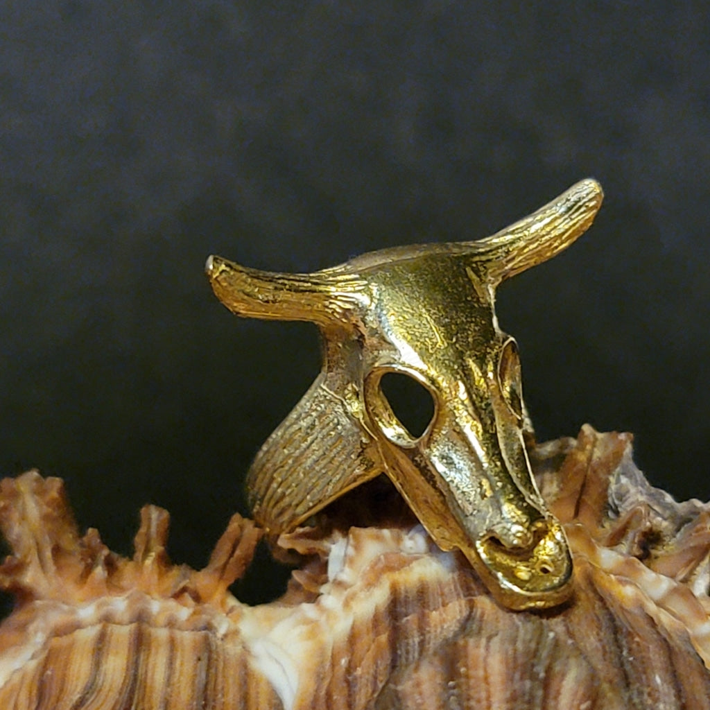 Short Horn Skull Brass Ring Jewelry