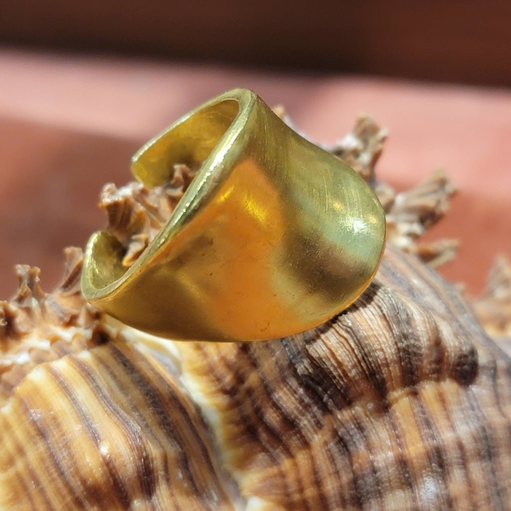 Solid Brass Curve Ring Jewelry