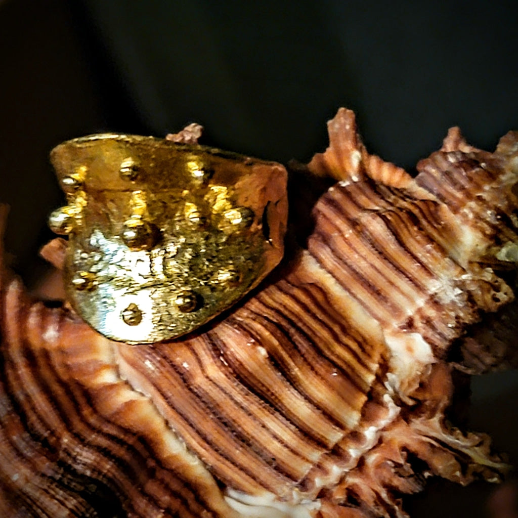 Urchin Brass Ring Jewelry